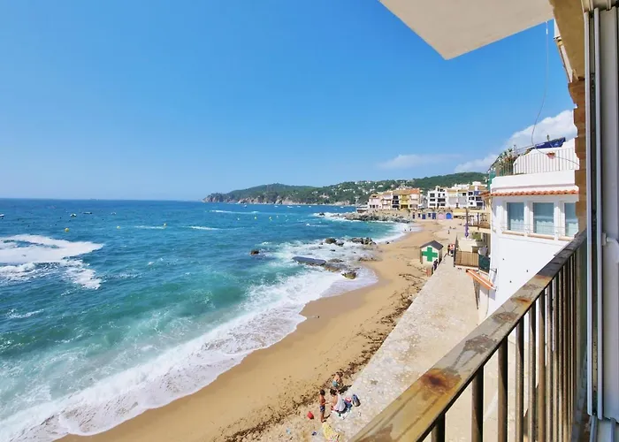 Casa Concha En Primera Linea De Mar * קאלייה דה פאלאפרוג'ל