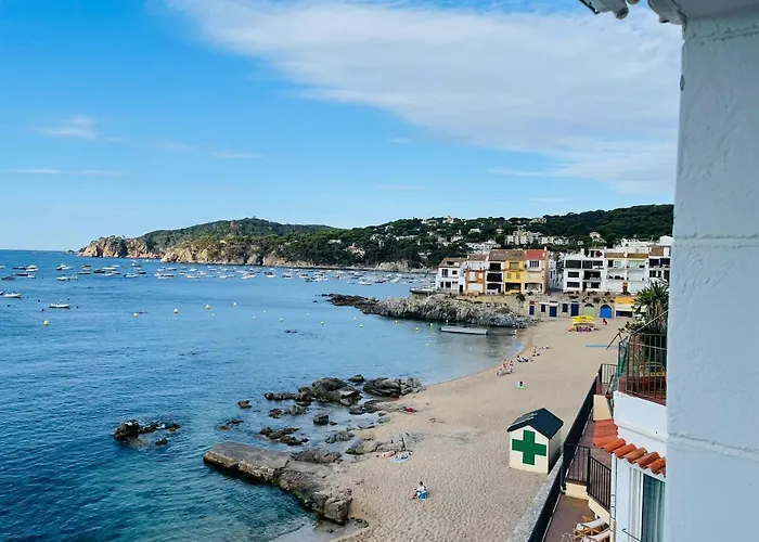 Casa Concha En Primera Linea De Mar * קאלייה דה פאלאפרוג'ל