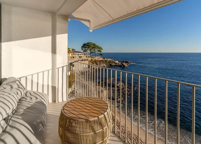 Casa Concha En Primera Linea De Mar קאלייה דה פאלאפרוג'ל