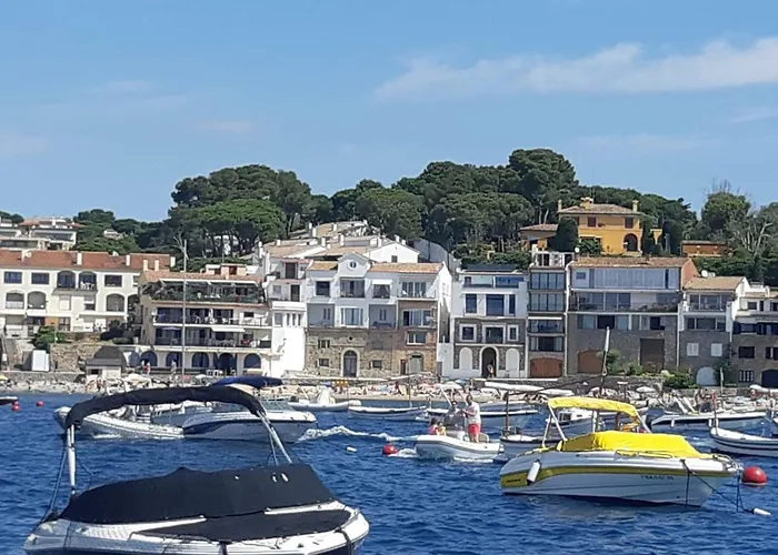 Casa Concha En Primera Linea De Mar * קאלייה דה פאלאפרוג'ל